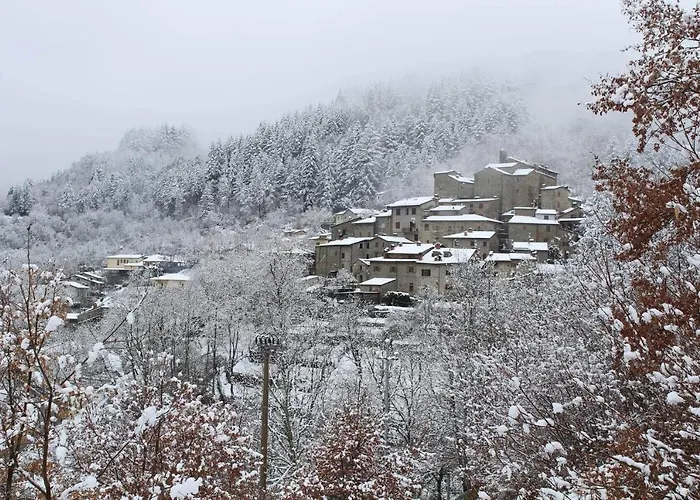 Casa Carda Di Lai Loretta Nocleg ze śniadaniem Castel Focognano